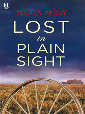 cover image of Lost in Plain Sight